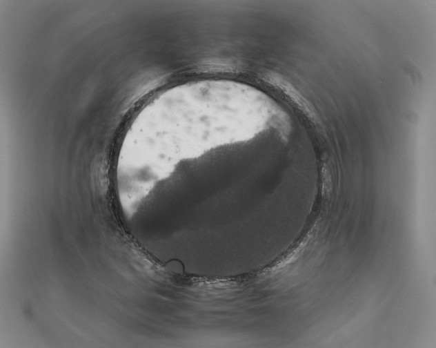 X0000111371213200908071207