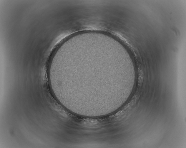 X0000111371215200908071207