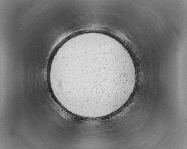 X0000111371216200908071207