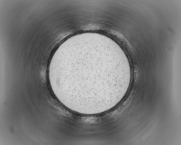 X0000111371217200908071207