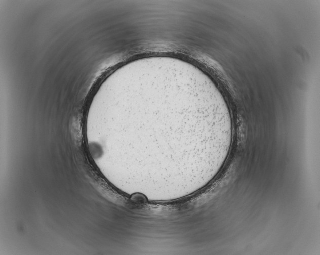 X0000111371218200908071207