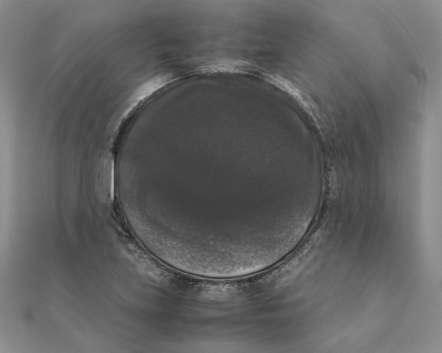 X0000111371219200908071207