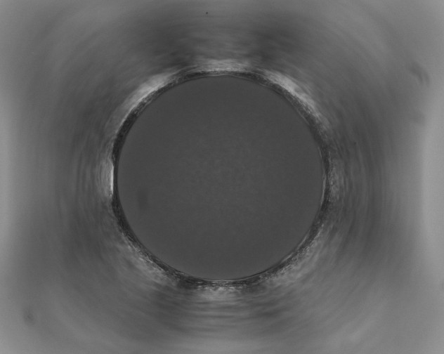 X0000111371221200908071207