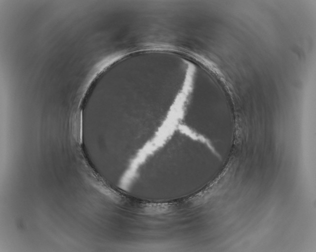 X0000111371223200908071207