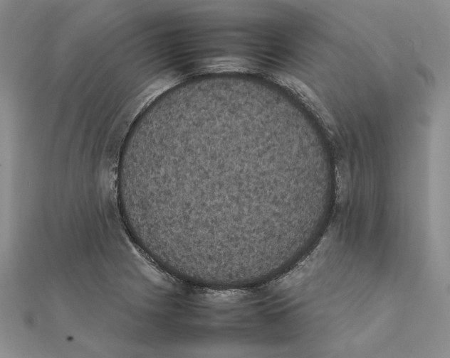 X0000111371225200908071207