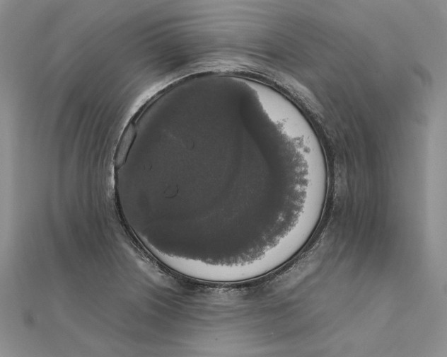 X0000111371226200908071207