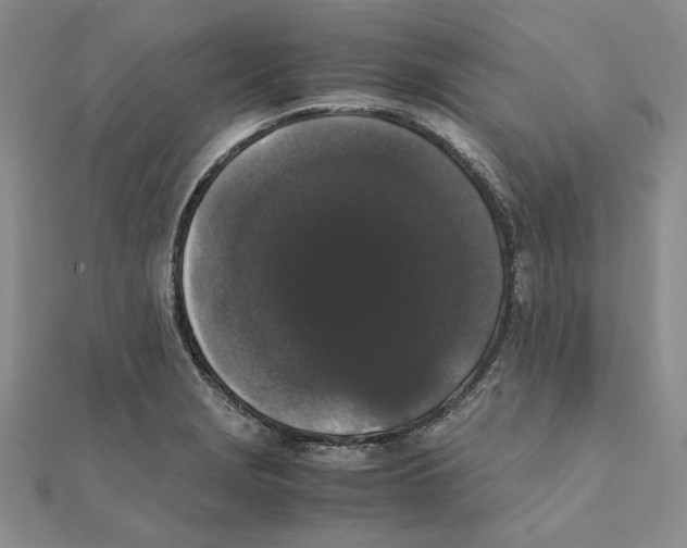 X0000111371229200908071207