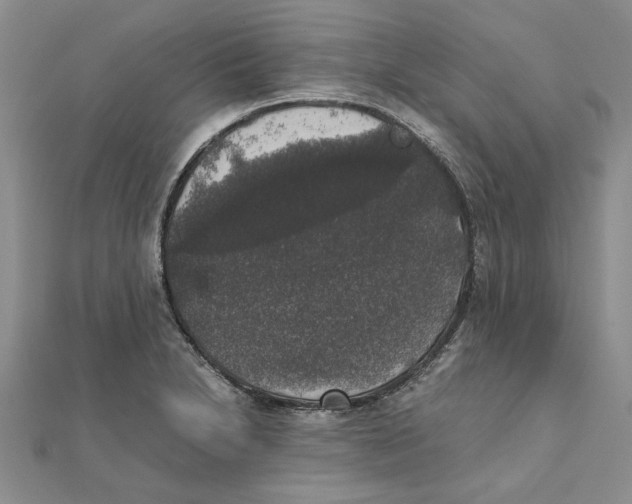 X0000111371230200908071207