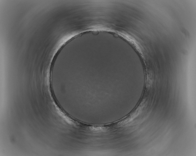 X0000111371231200908071207