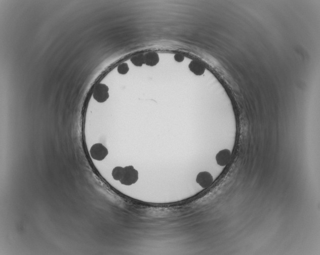 X0000111371232200908071207