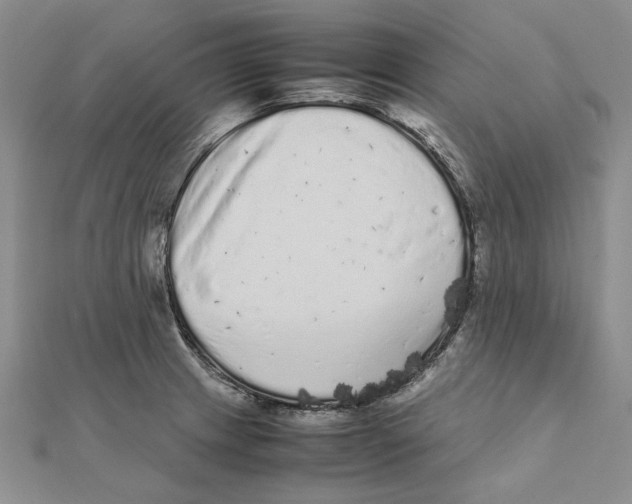 X0000111371233200908071207