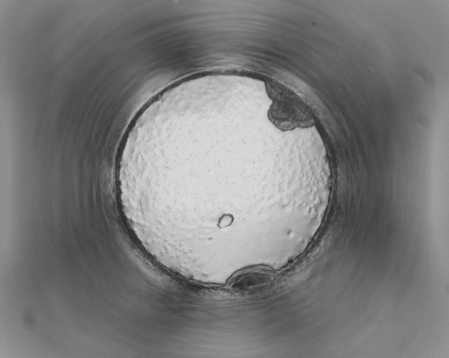 X0000111371234200908071207