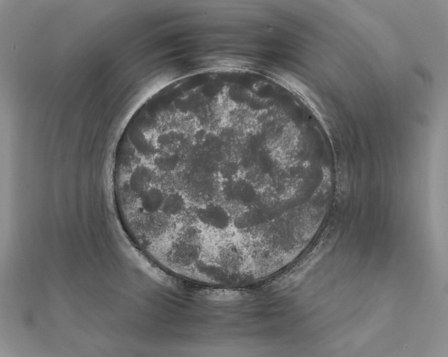 X0000111371235200908071207
