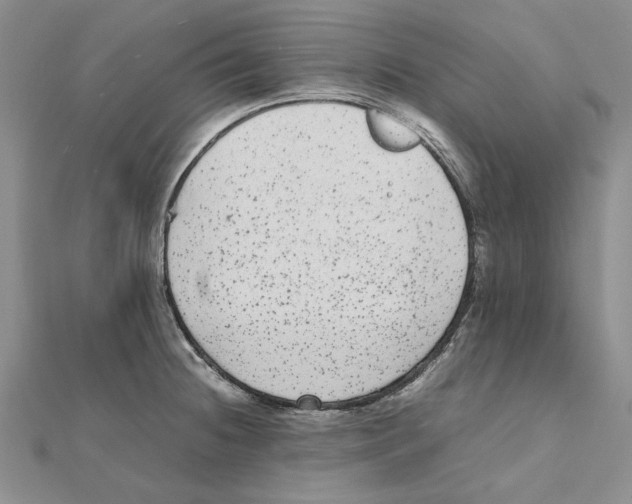 X0000111371236200908071207