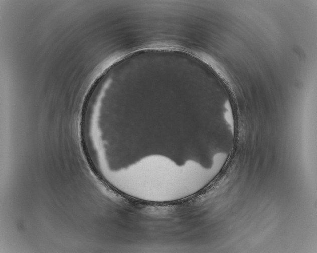 X0000111371237200908071207