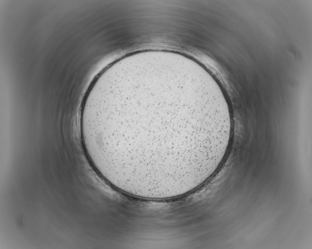 X0000111371238200908071207