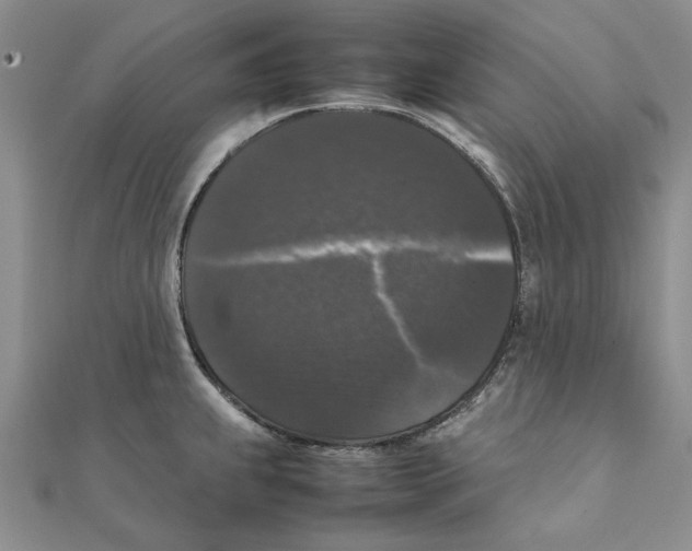X0000111371239200908071207