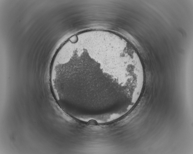 X0000111371240200908071207