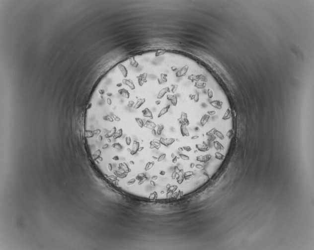 X0000111371241200908071207
