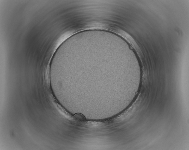 X0000111371242200908071207