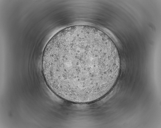 X0000111371244200908071207