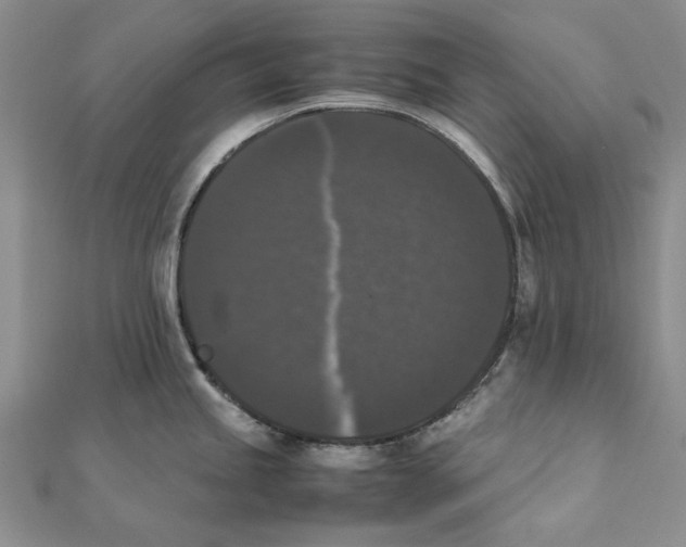X0000111371245200908071207
