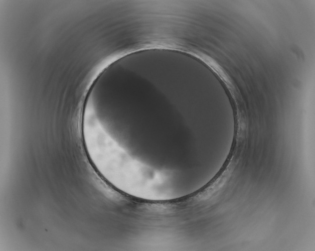 X0000111371246200908071207