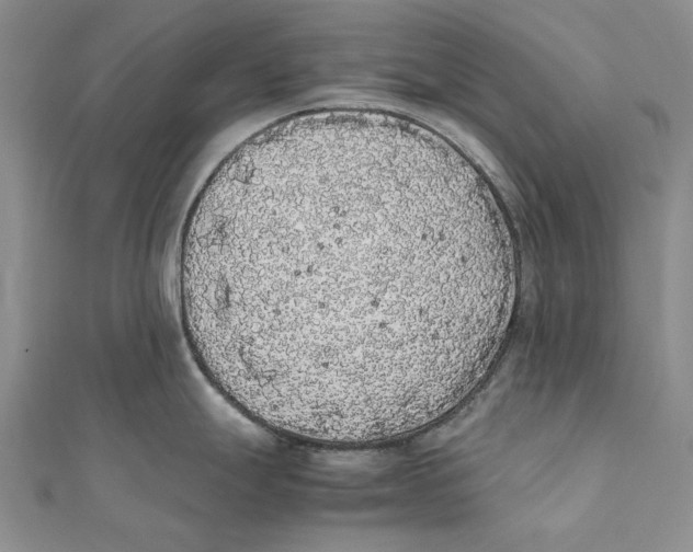 X0000111371247200908071207