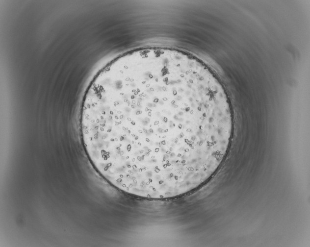 X0000111371248200908071207