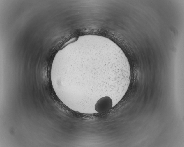 X0000111371250200908071207