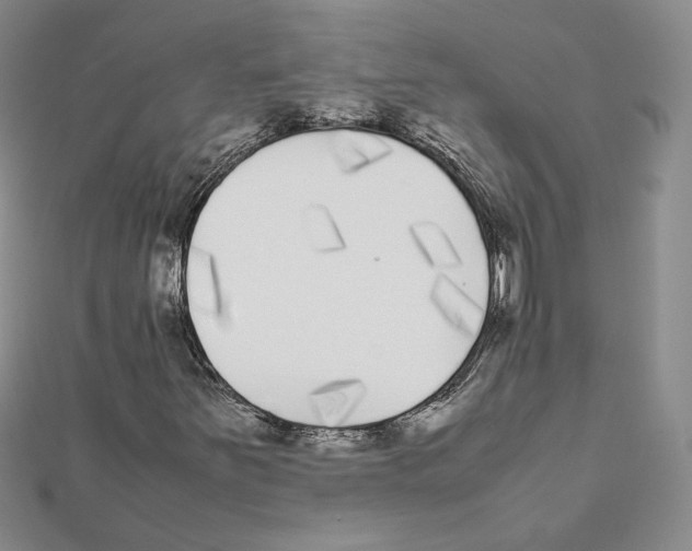 X0000111371251200908071207