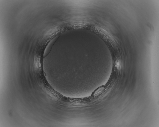 X0000111371252200908071207