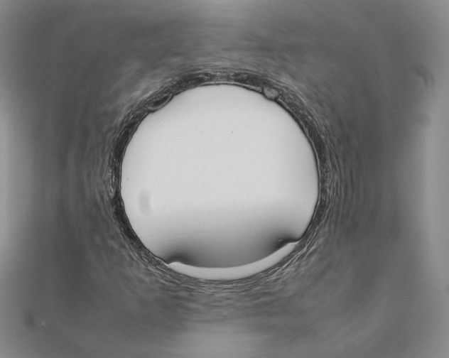 X0000111371253200908071207