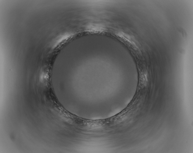 X0000111371254200908071207