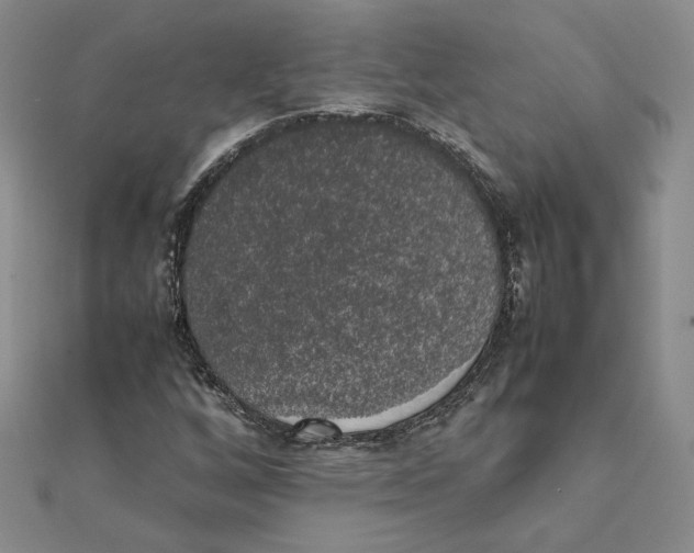 X0000111371256200908071207