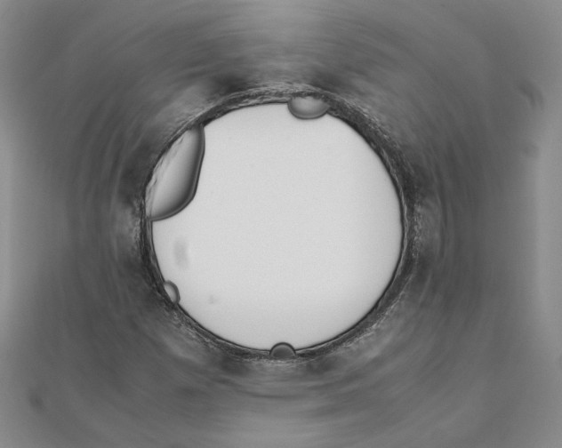 X0000111371257200908071207