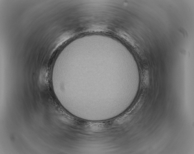 X0000111371258200908071207
