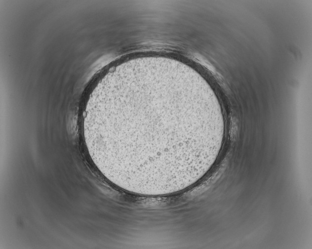 X0000111371259200908071207