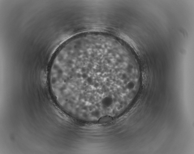 X0000111371260200908071207
