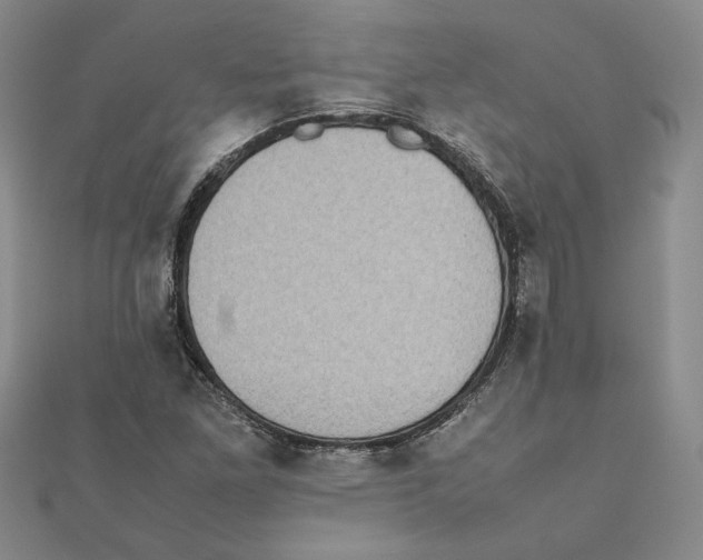 X0000111371261200908071207