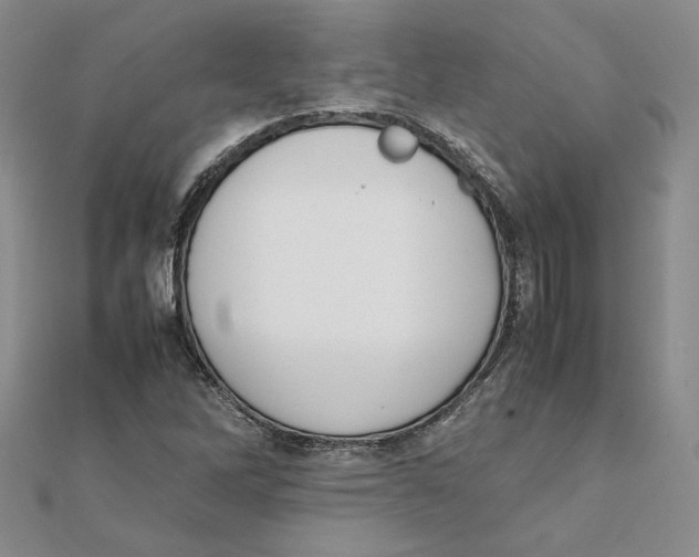 X0000111371262200908071207