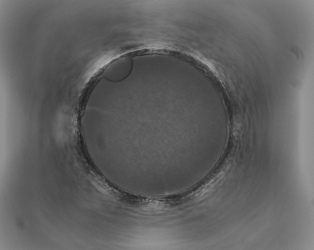 X0000111371263200908071207