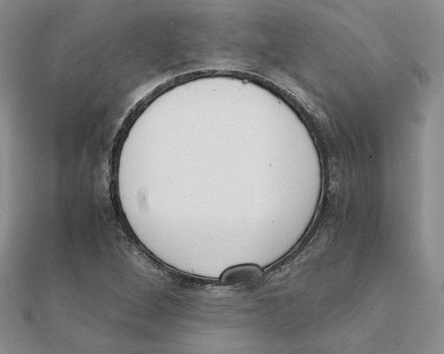 X0000111371264200908071207