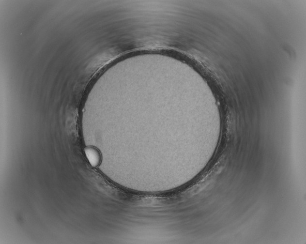 X0000111371265200908071207