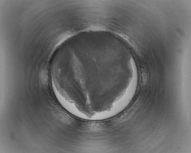 X0000111371266200908071207