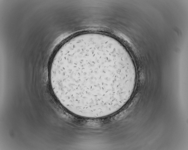 X0000111371267200908071207