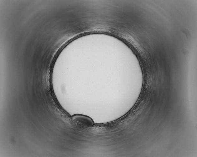 X0000111371268200908071207