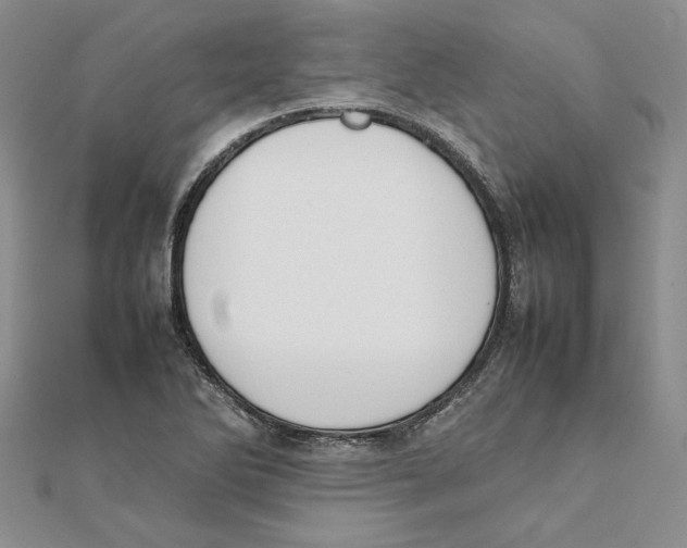 X0000111371270200908071207