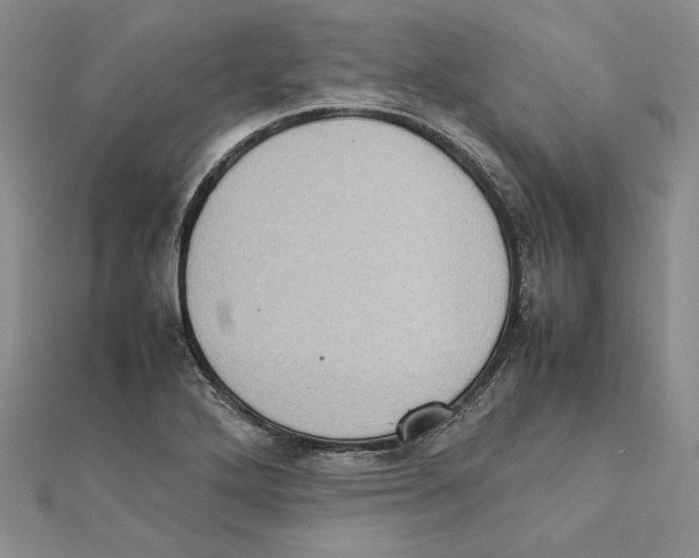 X0000111371272200908071207