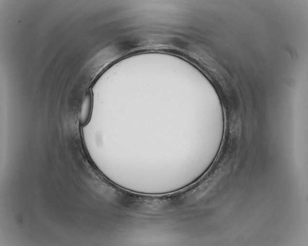 X0000111371273200908071207